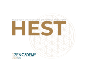 Holistisch Energetisch & Systemisch Therapeut (HEST)